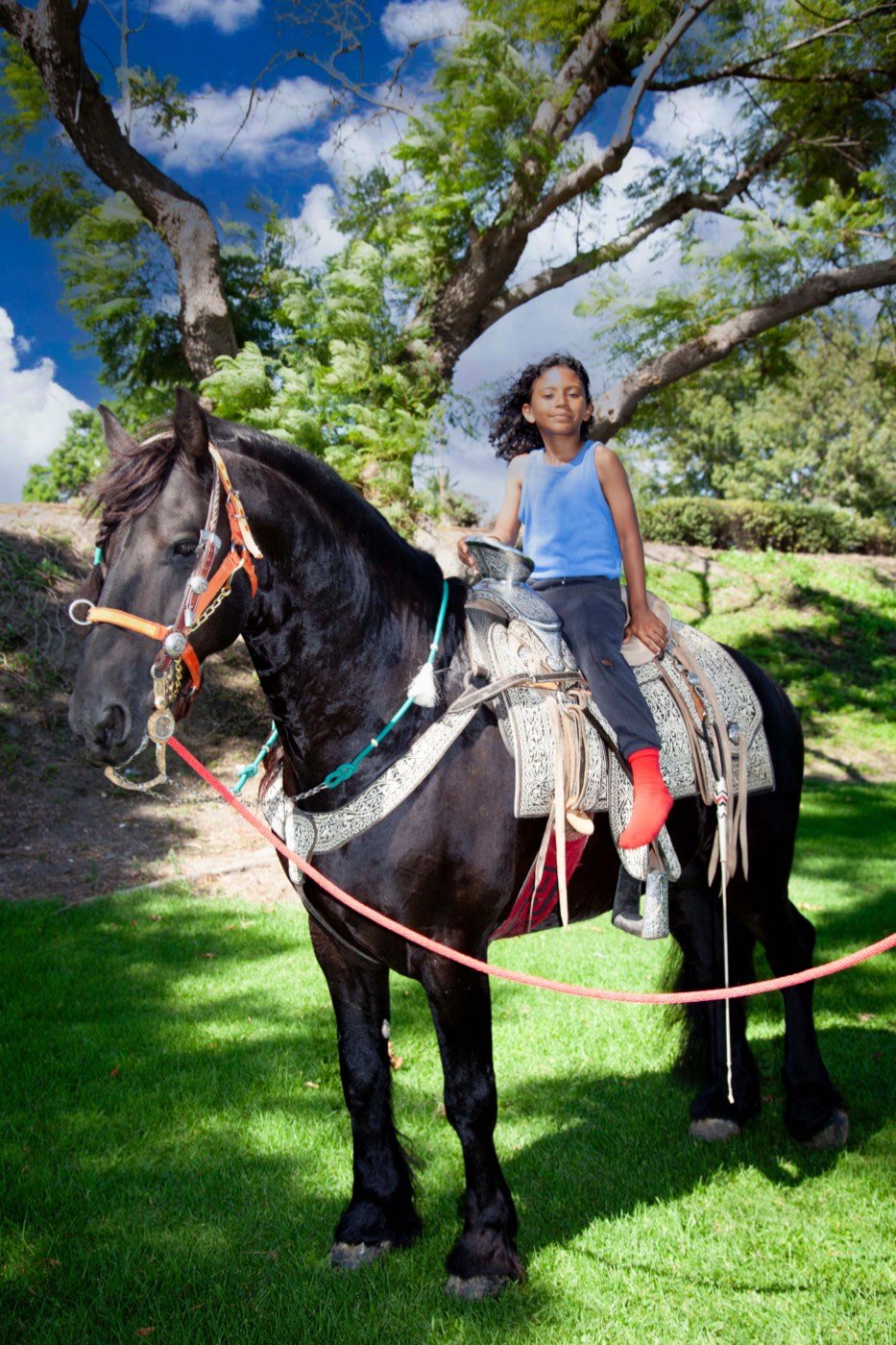 A young rider on a black horse