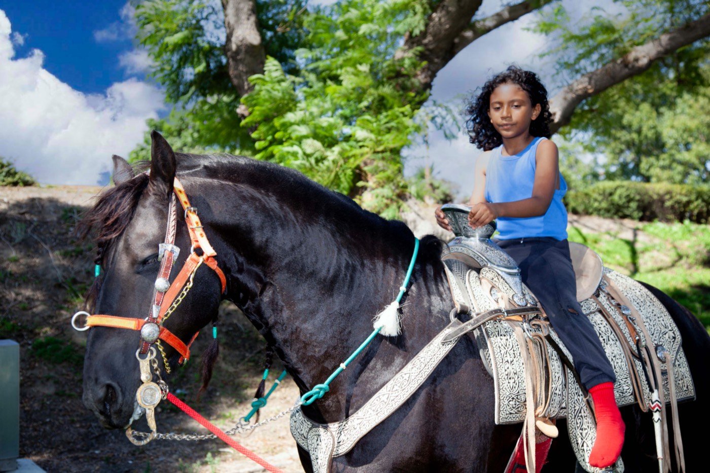 A young rider on horseback under blue skies