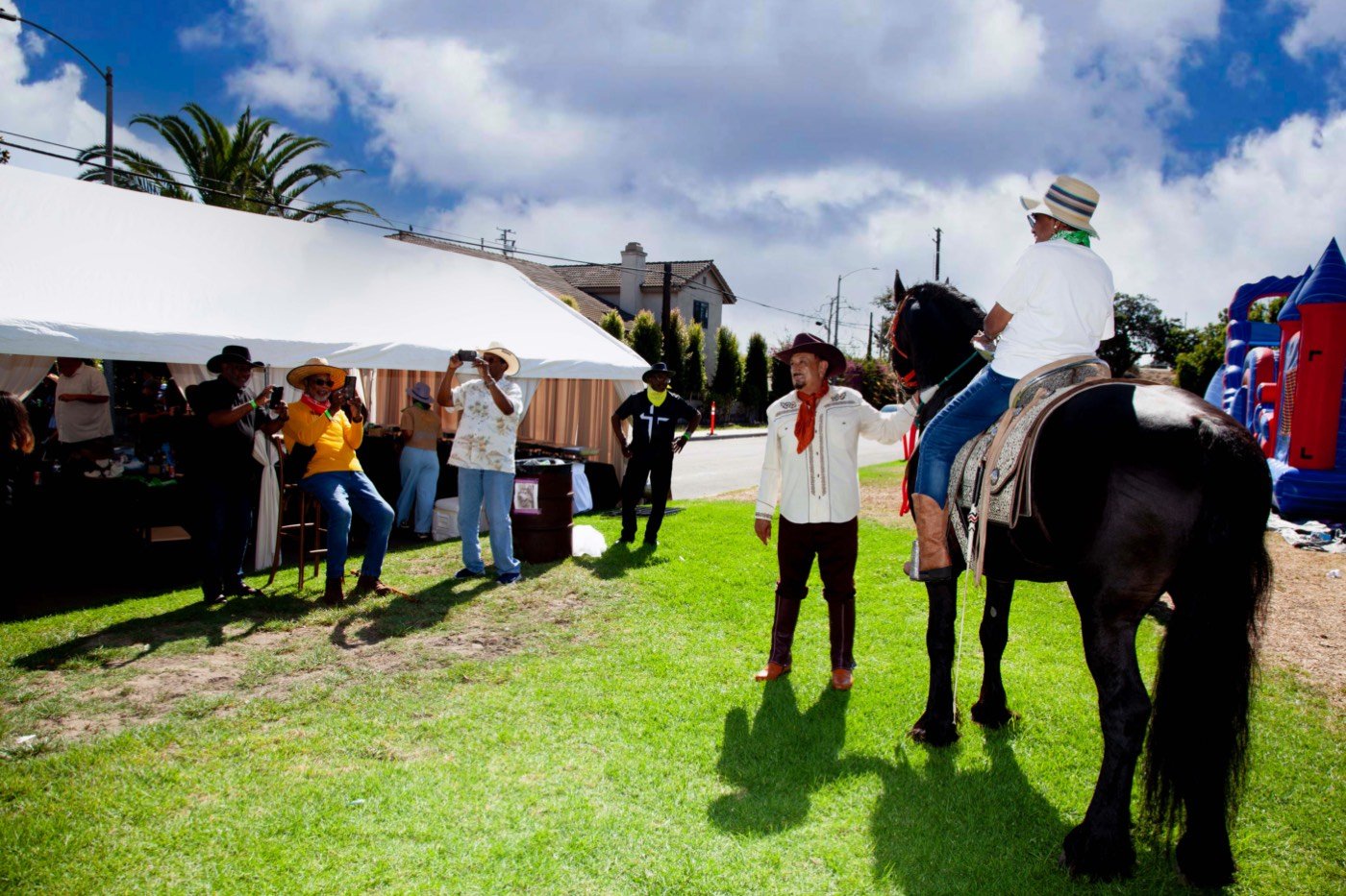 Horses at the block party
