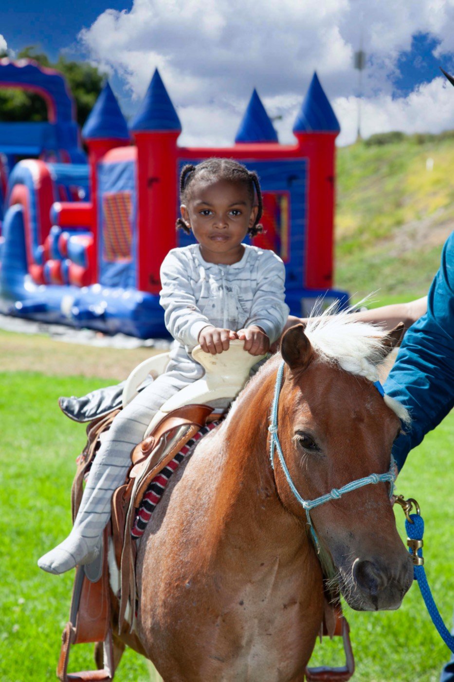 A toddler on a pony